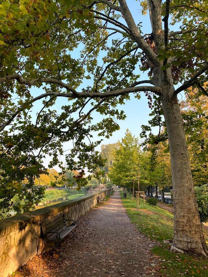 Residenza Delle Farfalle-Tripla Con Bagno Privato E Matrimoniale Con Bagno Condiviso Padua Buitenkant foto